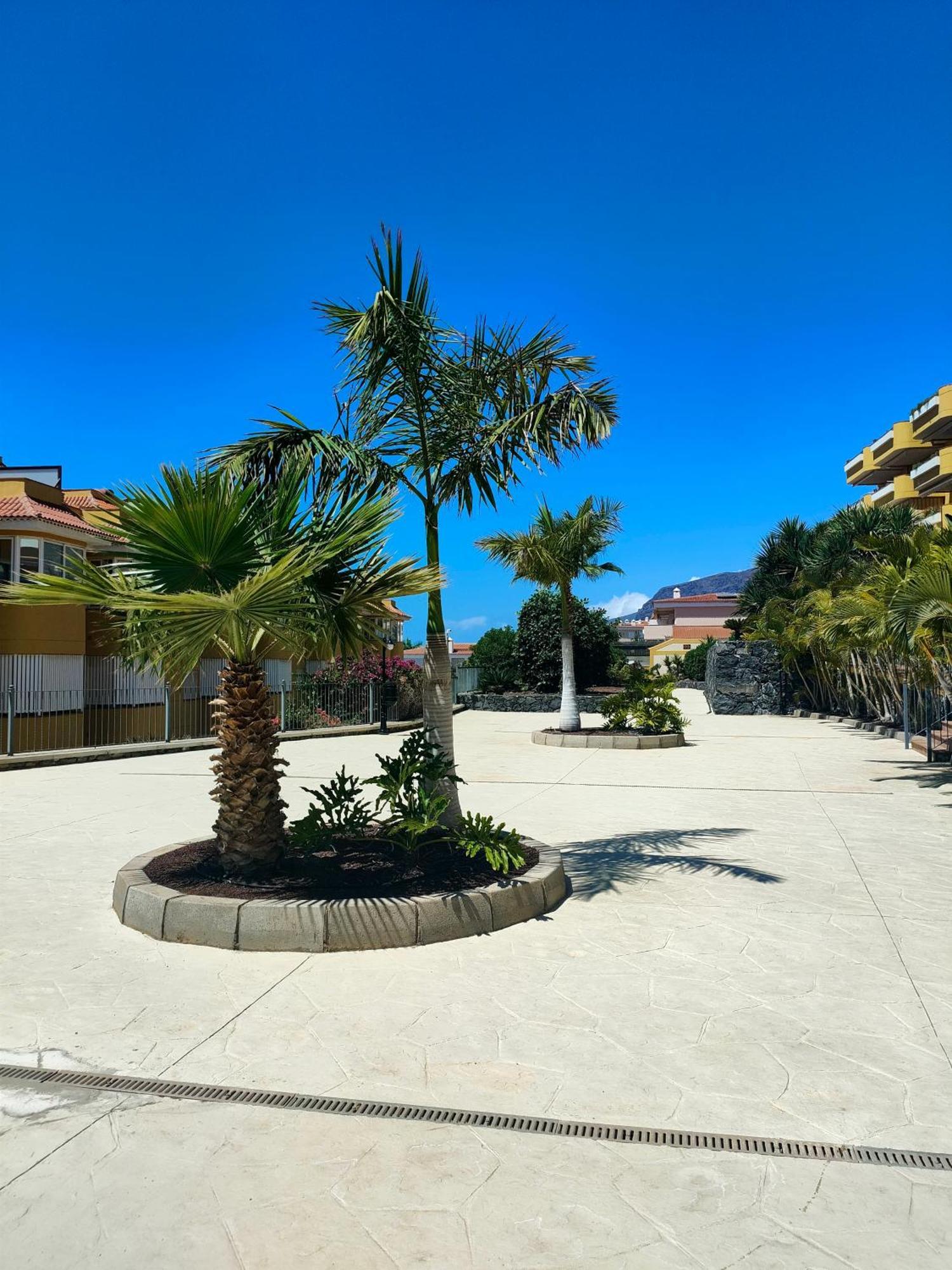 Belvedere Penthouse Puerto de Santiago (Tenerife) Exterior foto